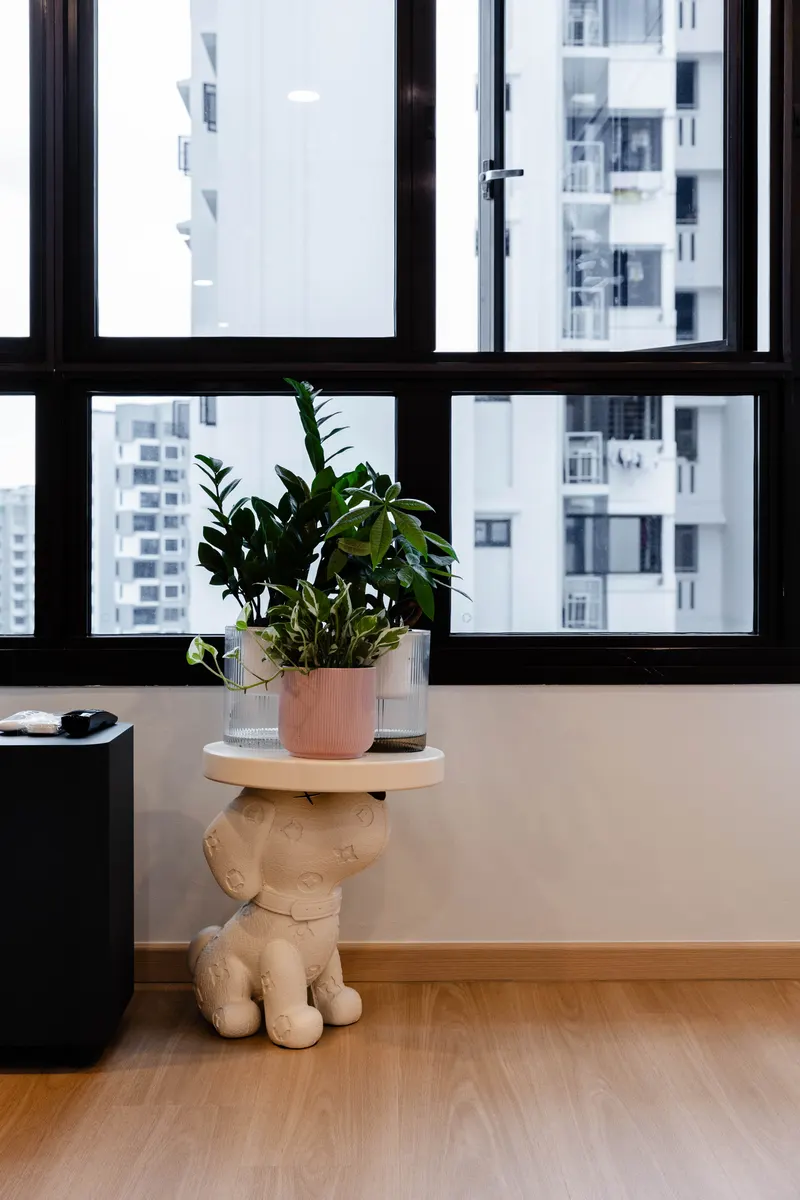 Plant in warm daylight by the window